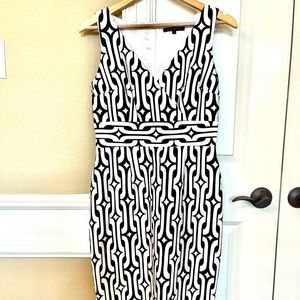 David Meister chocolate and white dress